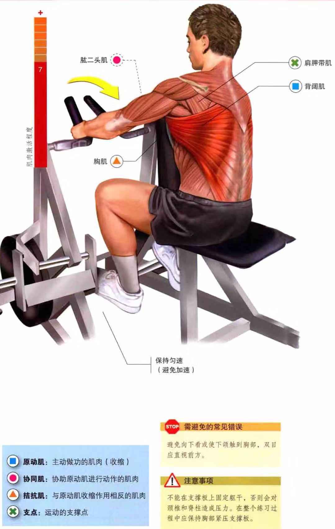 无器械训练和器械健身哪个减肥快_器械锻炼与游戏健身_徒手健身和器械健身的区别